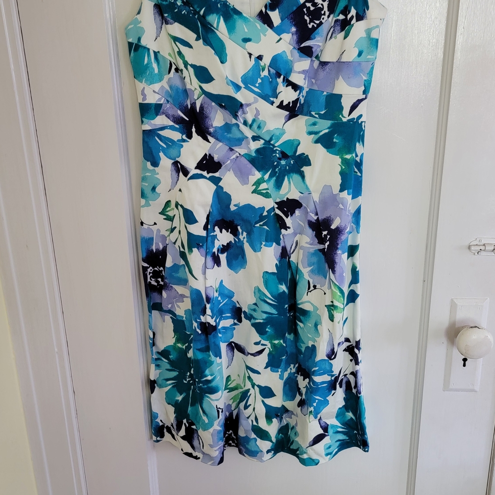 Floral Sleeveless Dress in Blue and White Size 6